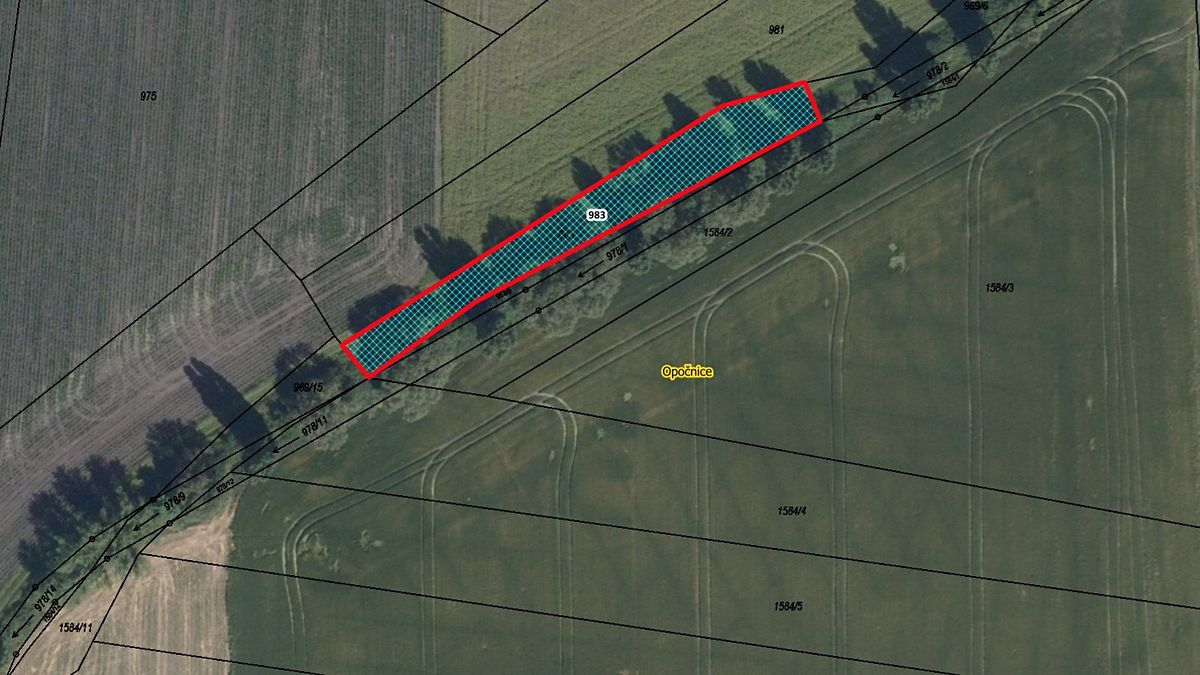 Prodej pozemku 971 m², Opočnice – fotka 1 z 3