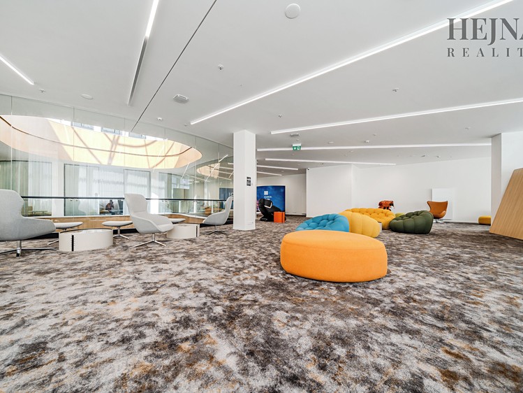 Pronájem komerčního prostoru, 802 m² (12 z 20)