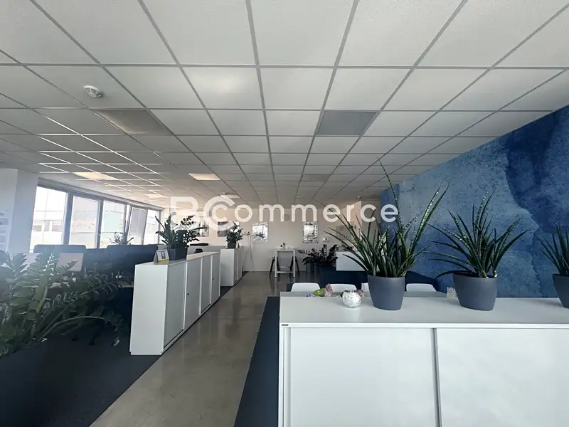 Pronájem kanceláře 146 m², Brno – náhled fotky 3