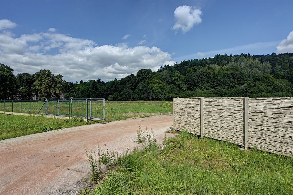 Pronájem komerčního pozemku 5000 m² – fotografie 3