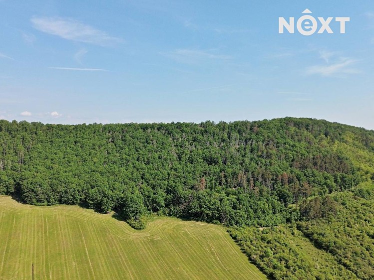 Grundstück zum Kauf, 3.149 m² (13 von 19)