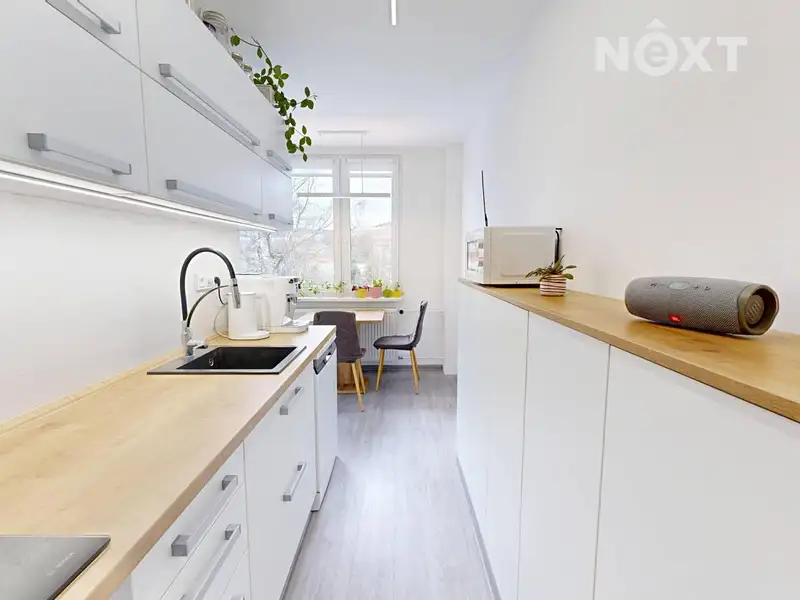 Prodej bytu 2+1 59 m², Nad Parkem, Meziboří, okres Most
