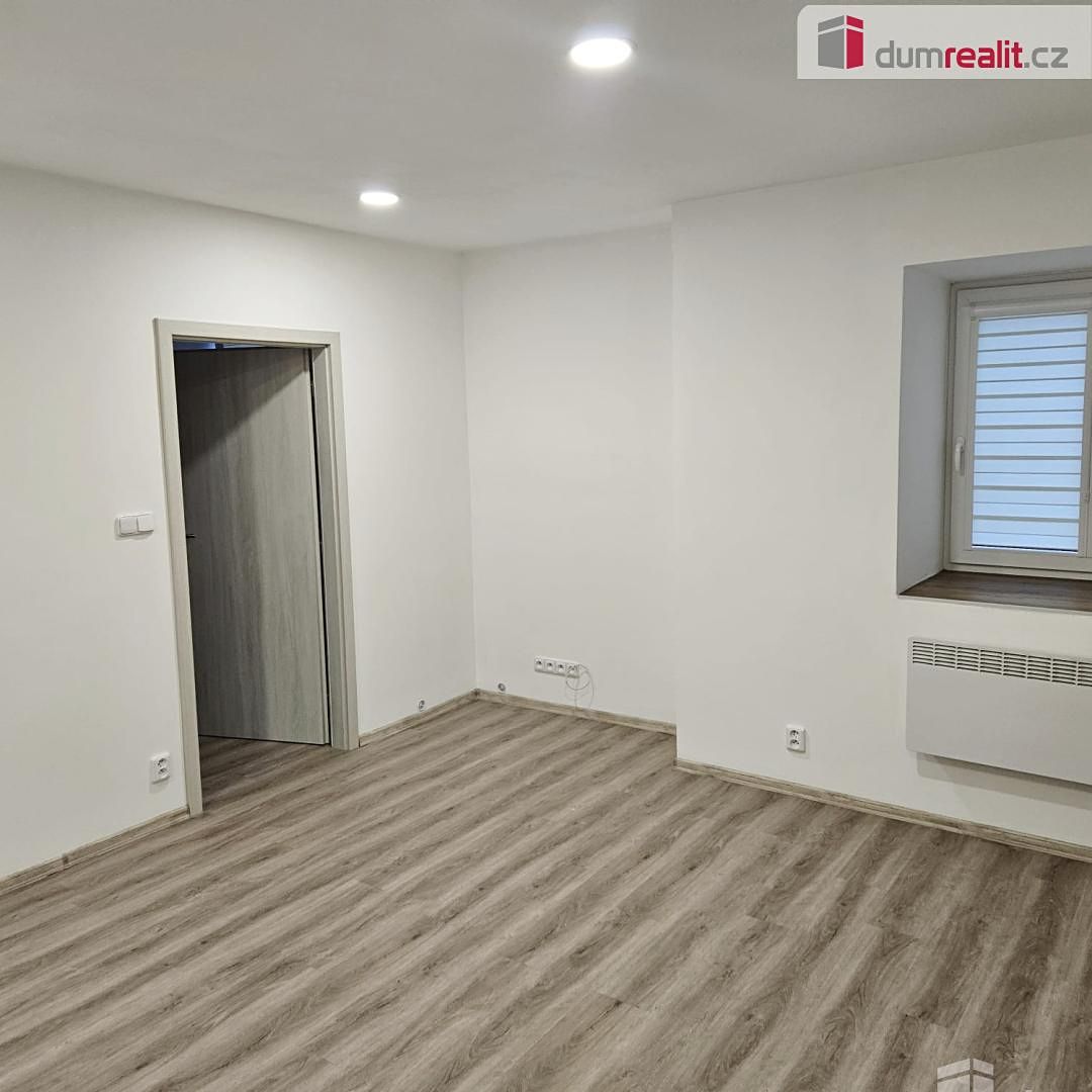 Pronájem bytu 1+1 58 m² – fotografie 4