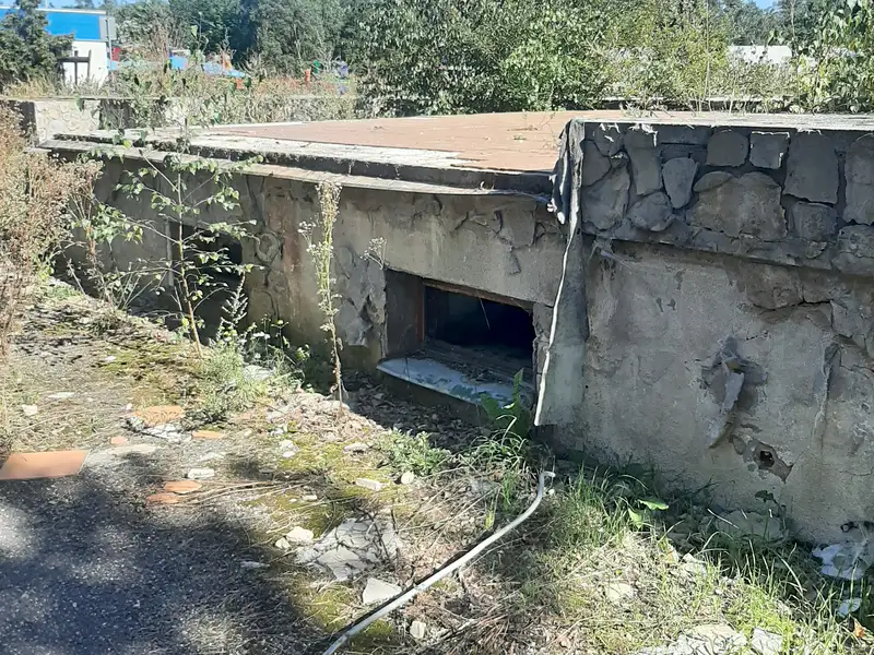 Prodej komerčního pozemku 3834 m², Hlavenec – náhled fotky 3