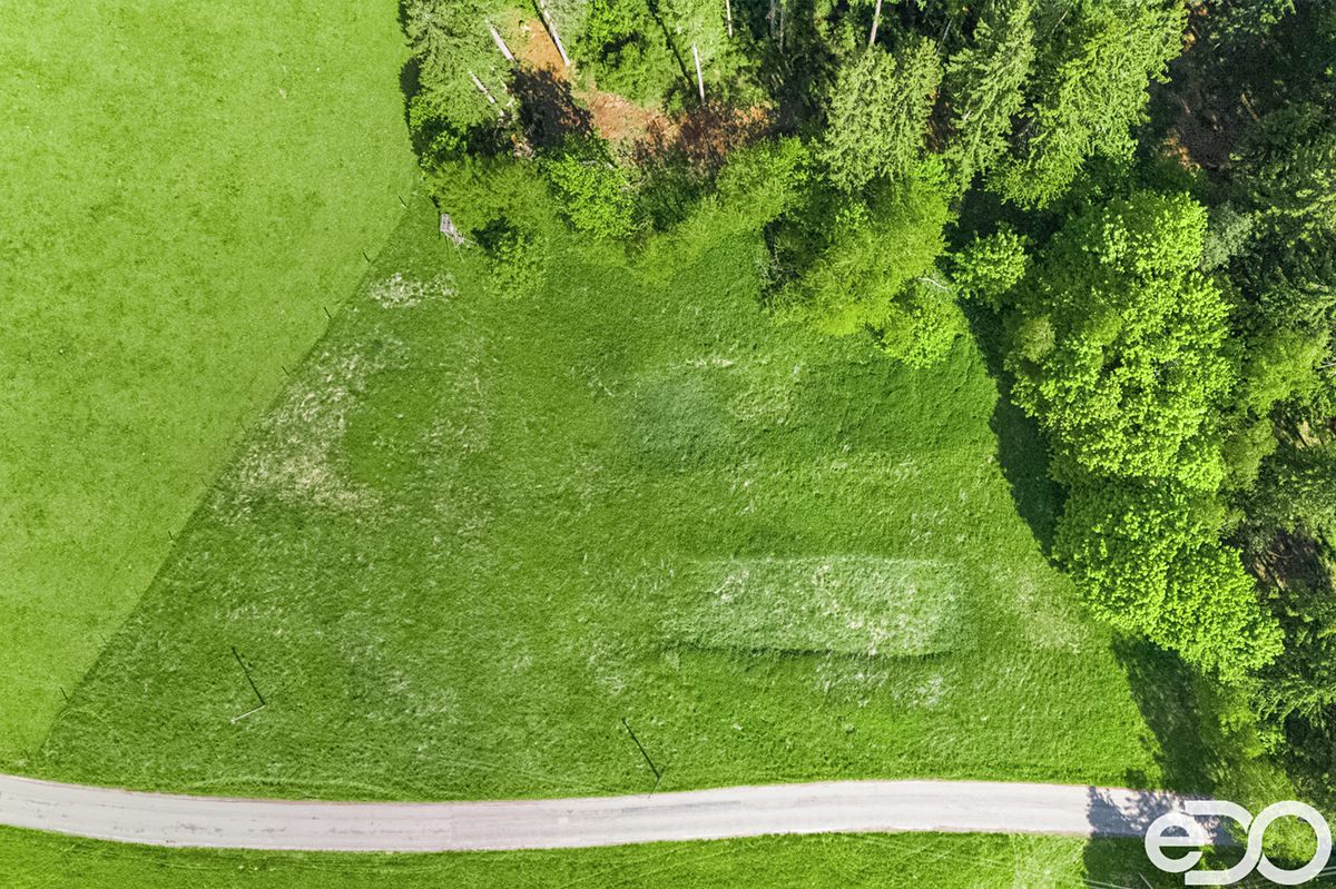 Prodej stavebního pozemku 5934 m² – fotografie 4