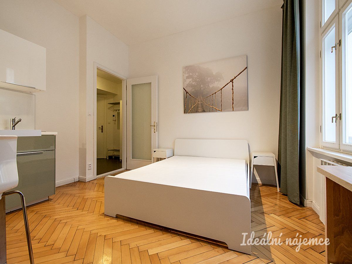 Pronájem bytu 1+kk 27 m² – fotografie 4