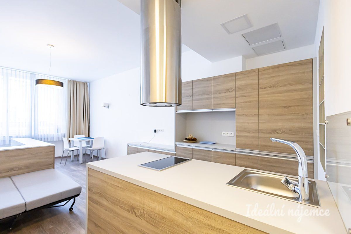 Pronájem bytu 1+kk 38 m²