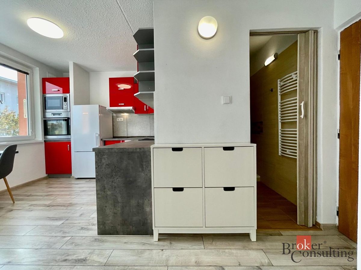 Pronájem bytu 1+1 33 m² – fotografie 5