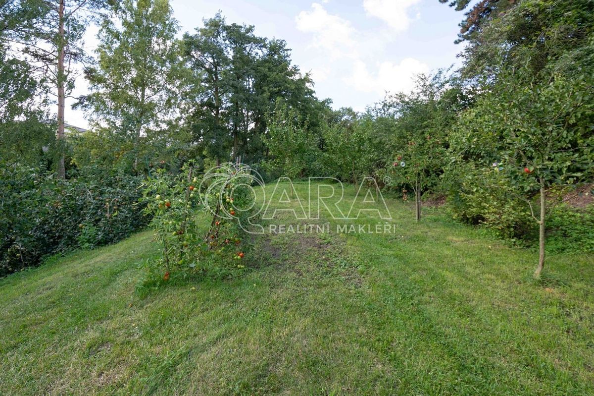 Prodej rodinného domu 200 m², pozemek 1769 m² – fotografie 5