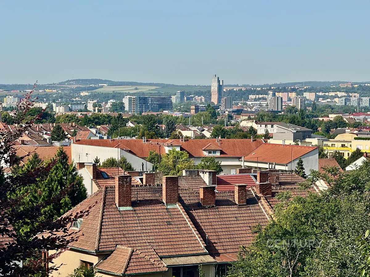 Fotka 8 z 8