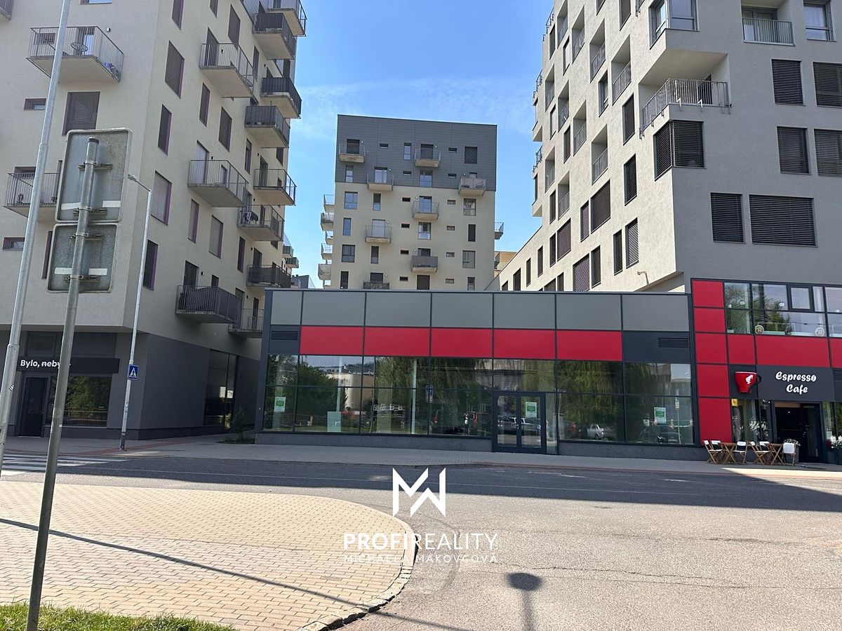 Pronájem obchodního prostoru 168 m² – fotografie 2