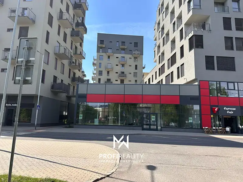 Pronájem obchodního prostoru 168 m², Liberec – náhled fotky 2
