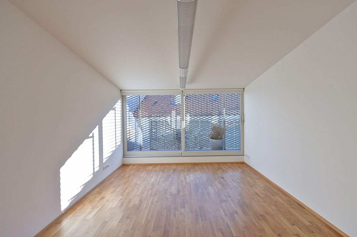 Pronájem kanceláře 256 m² – fotografie 2
