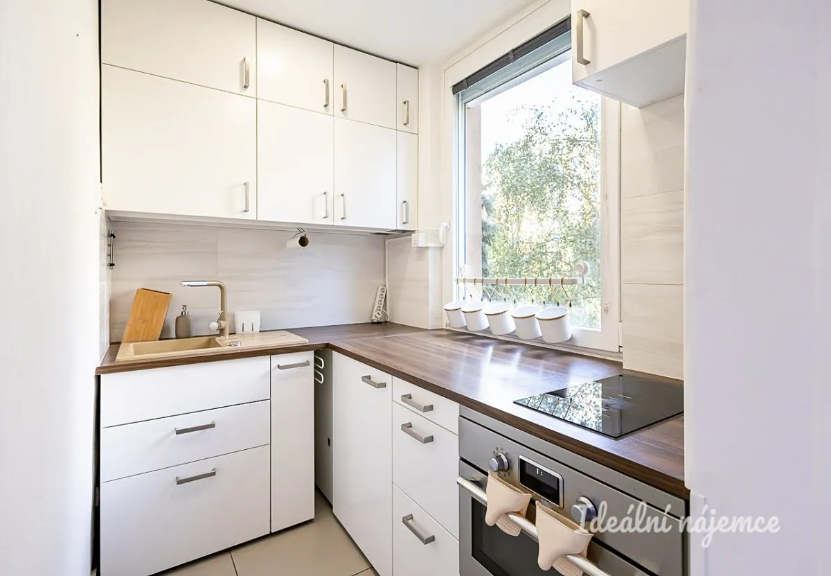 Pronájem bytu 1+1 31 m²