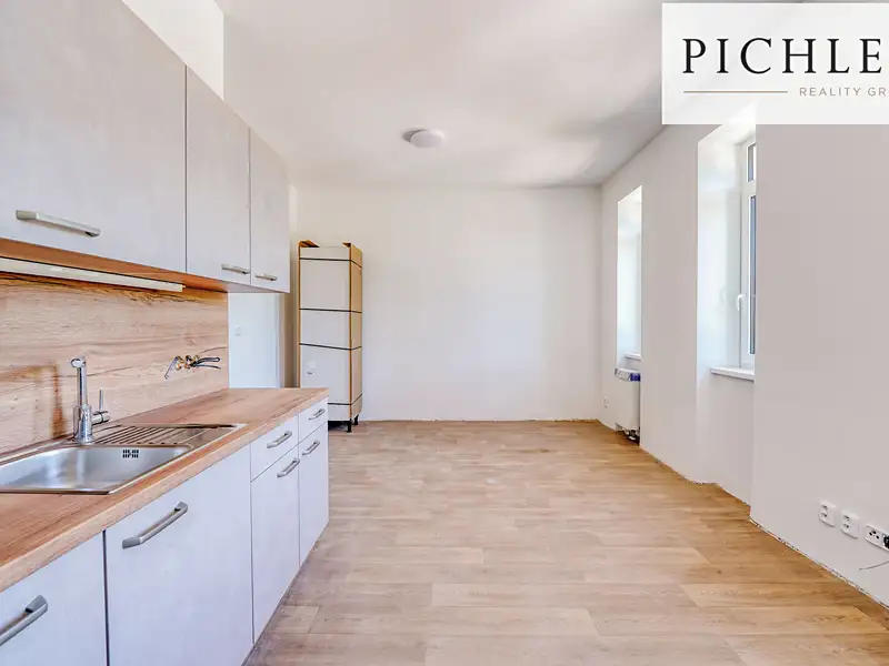 Pronájem bytu 1+kk 35 m², Horní Bříza – náhled fotky 2