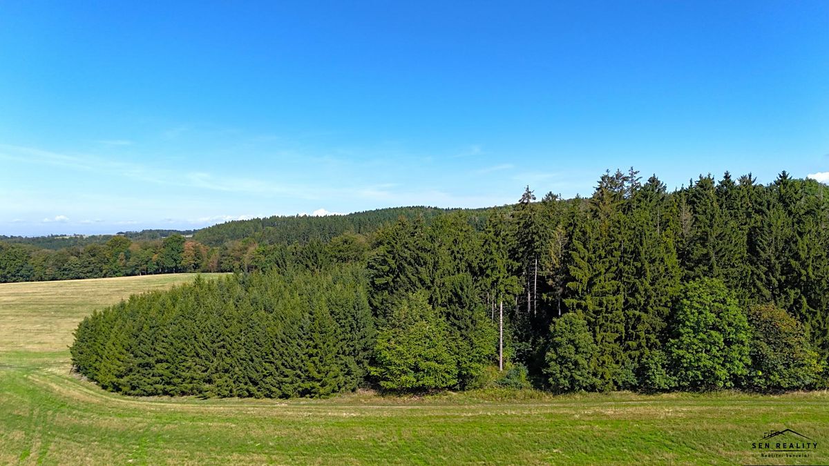Prodej lesa 9005 m²