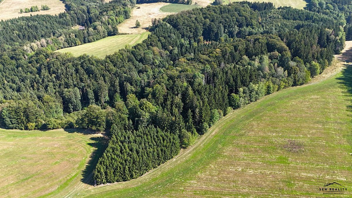 Prodej lesa 9005 m² – fotografie 2