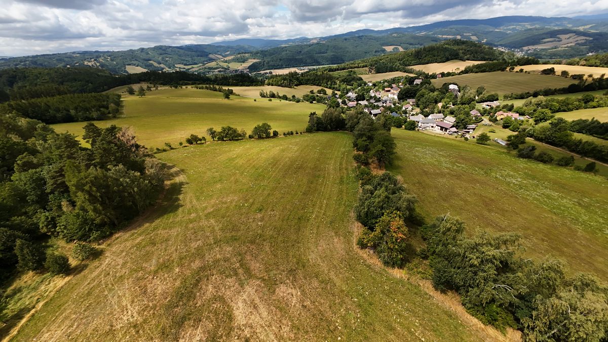 Prodej stavebního pozemku 6000 m² – fotografie 2