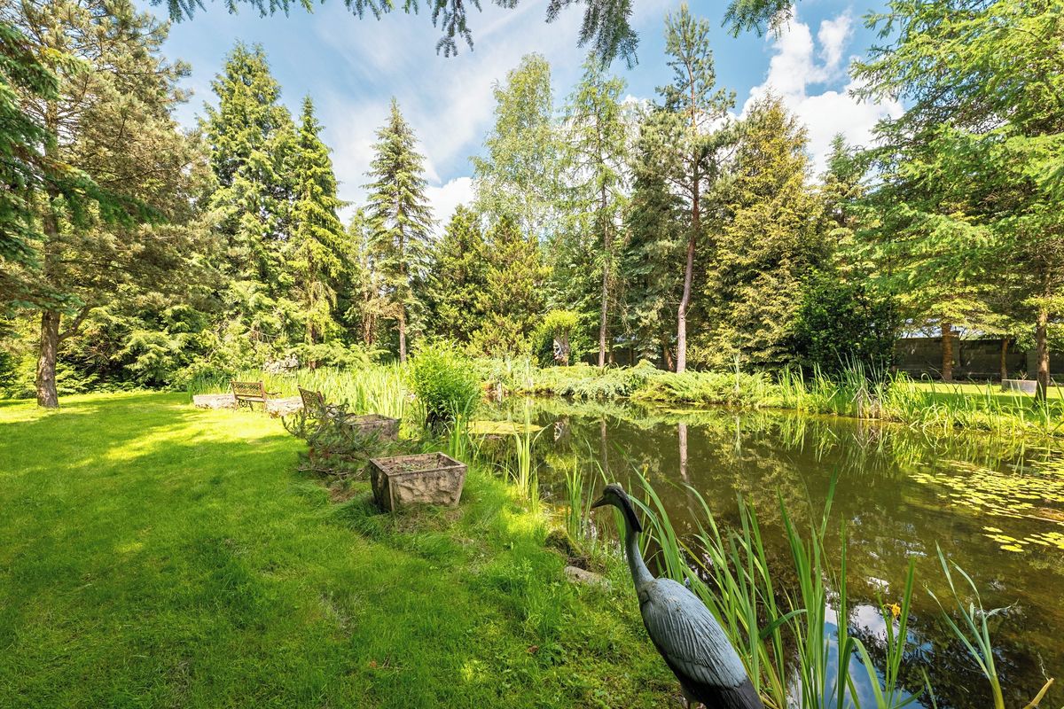 Prodej rodinného domu 215 m², pozemek 5552 m² – fotografie 4