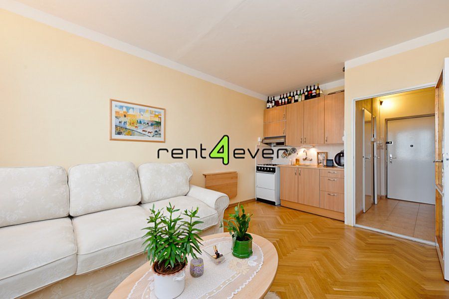 Pronájem bytu 1+kk 24 m²