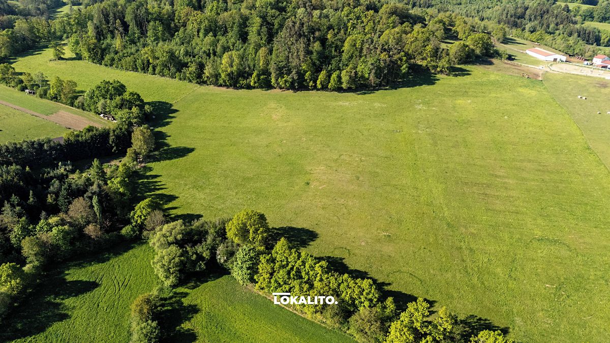 Prodej komerčního pozemku 18653 m² – fotografie 5