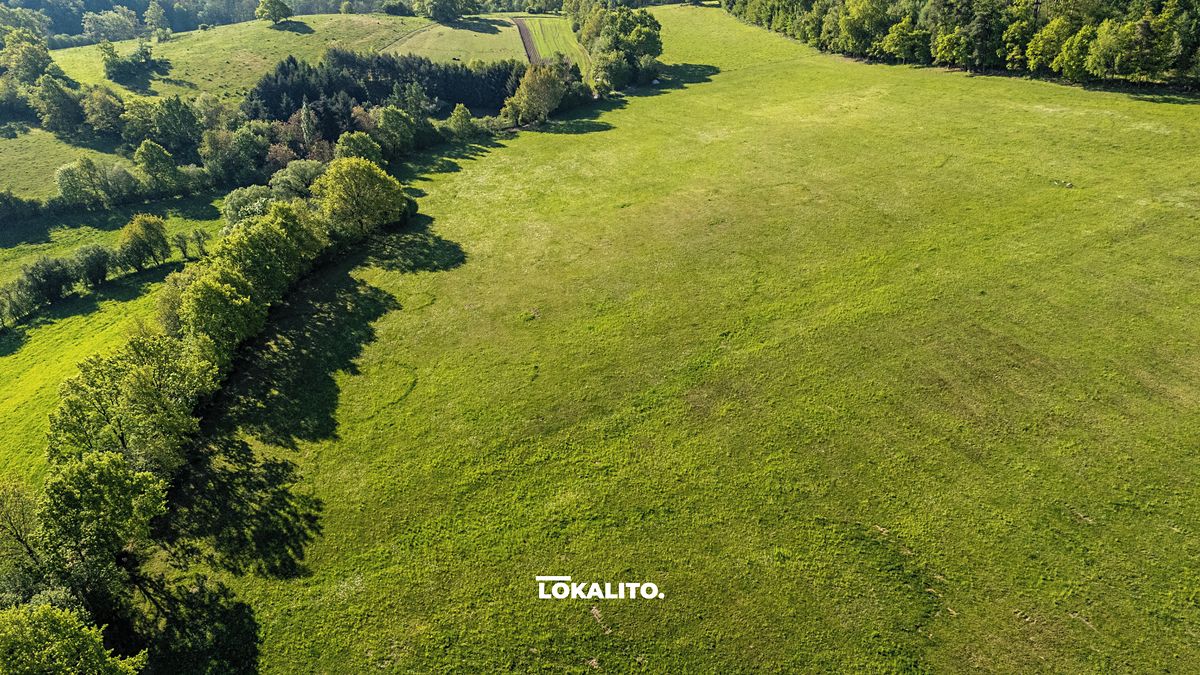 Prodej komerčního pozemku 18653 m² – fotografie 3