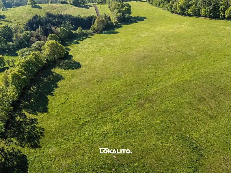 Prodej komerčního pozemku 18653 m², Nechvalice – náhled fotky 3