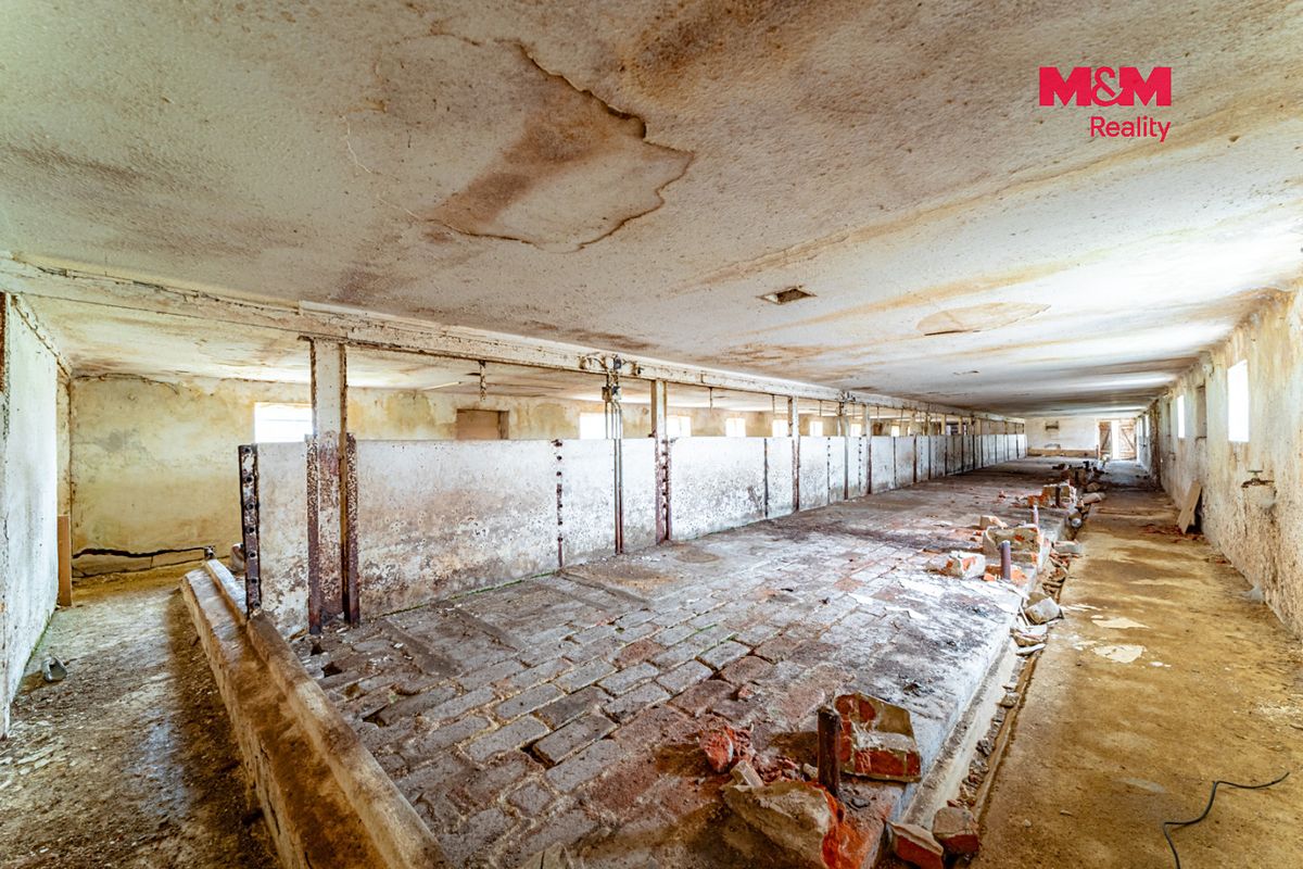 Prodej zemědělské usedlosti 600 m², pozemek 3000 m² – fotografie 5