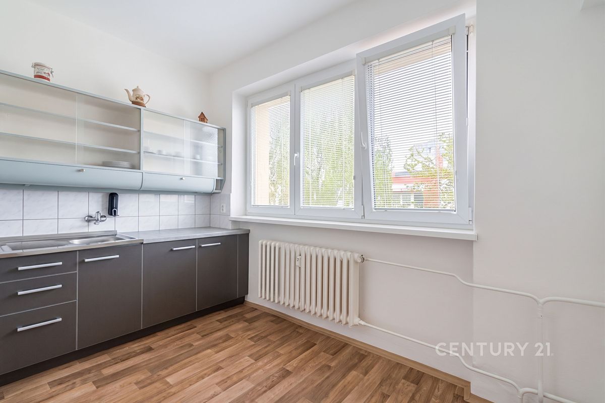 Pronájem bytu 1+1 38 m²