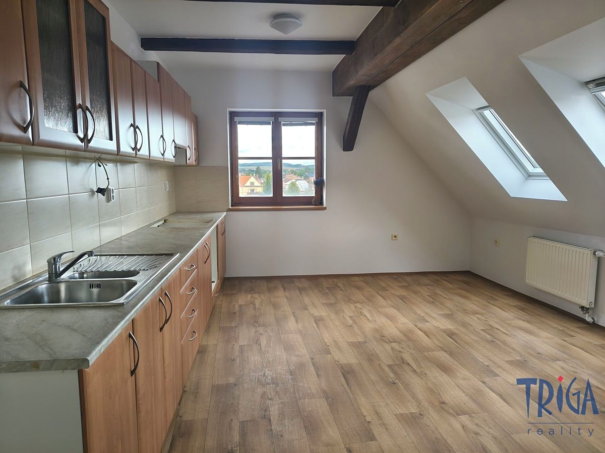 Pronájem bytu 3+1 157 m²