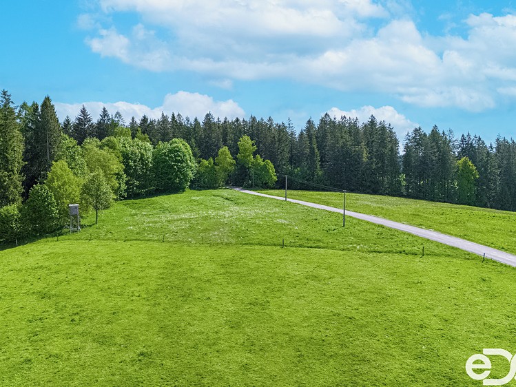 Prodej pozemku, 5 934 m² (9 z 14)