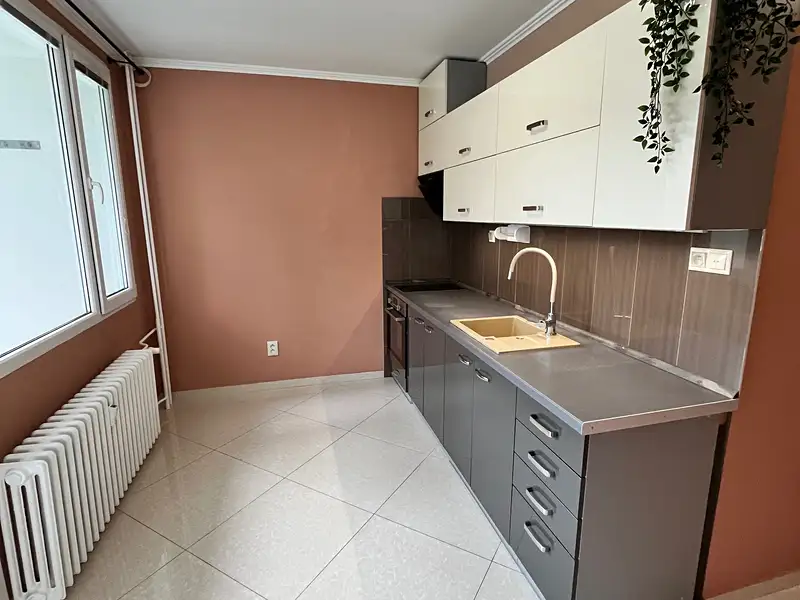 Pronájem bytu 2+1 48 m², Teplice – náhled fotky 1