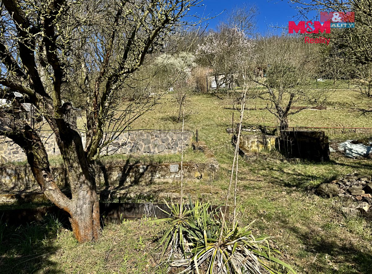 Pronájem zahrady 1656 m² – fotografie 4