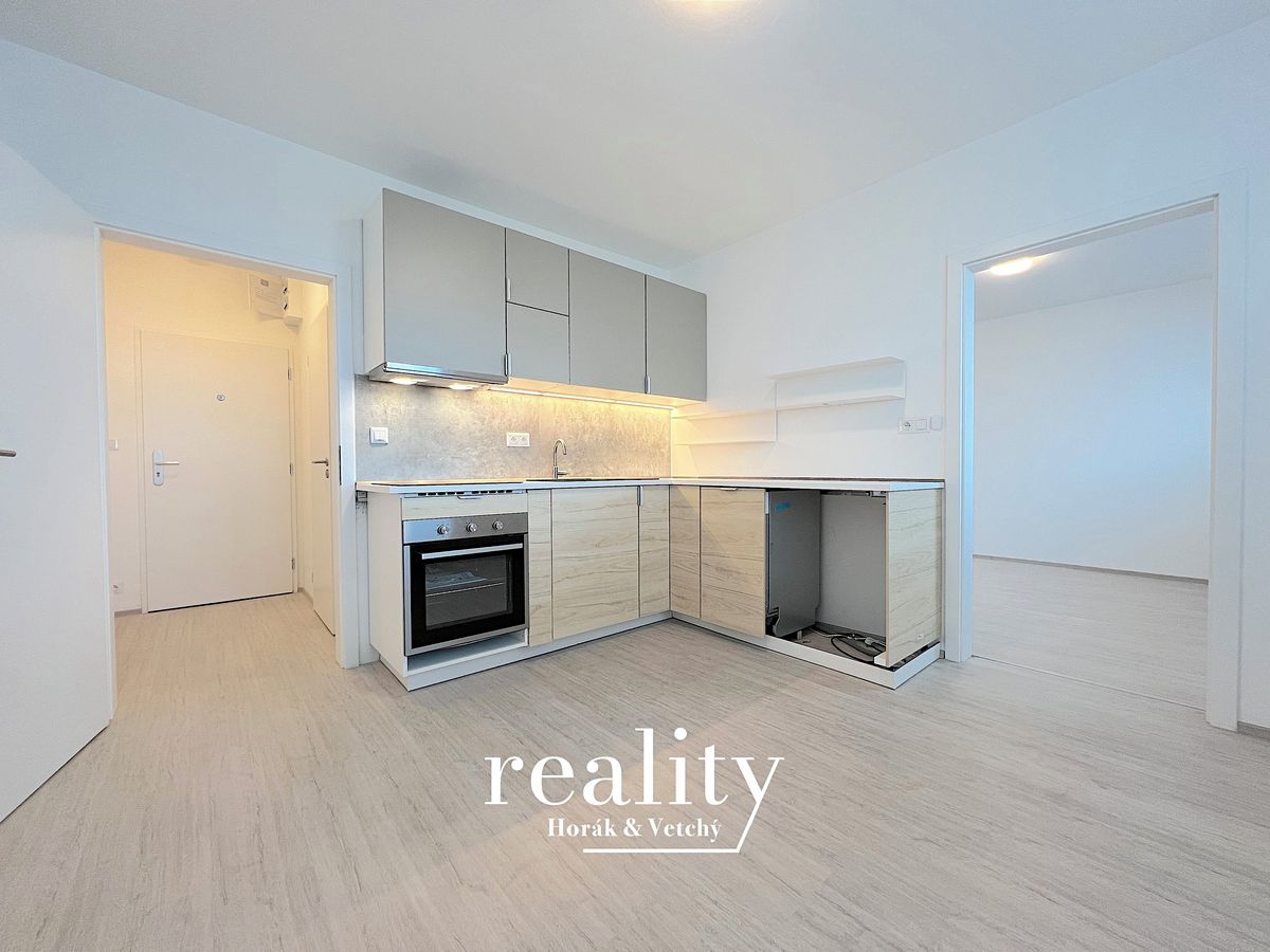 Pronájem bytu 1+1 40 m² – fotografie 2