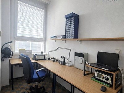 Pronájem komerčního prostoru, 225 m² (3 z 9)