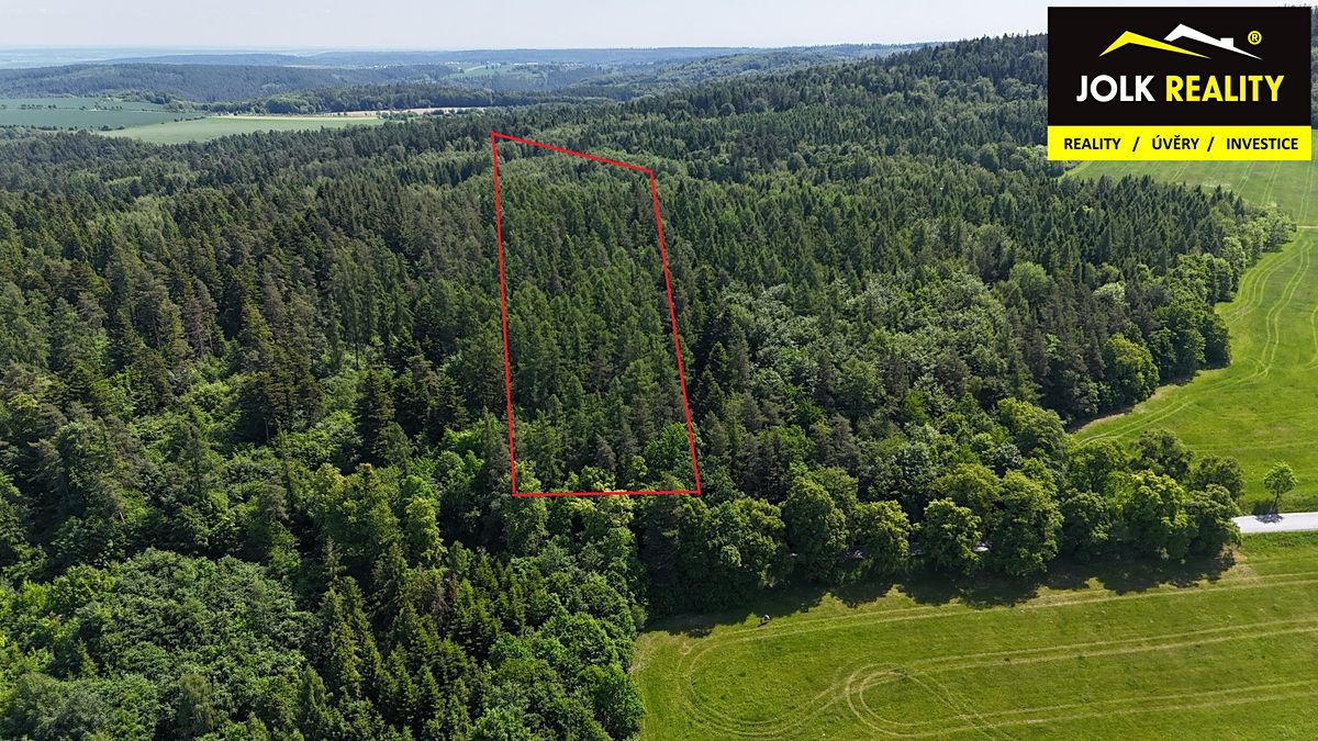 Prodej lesa 13182 m² – fotografie 3