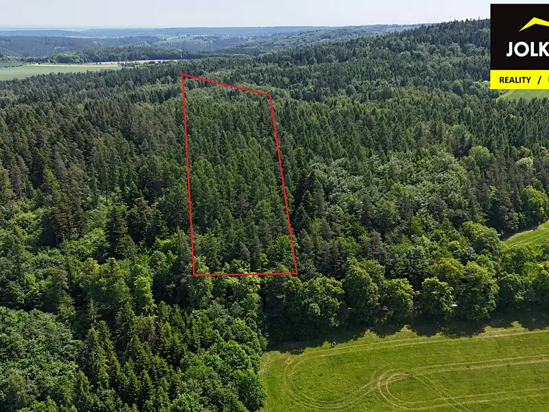 Prodej lesa 13182 m², Vršovice – náhled fotky 3