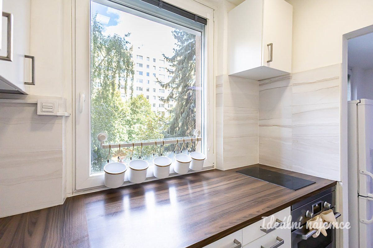 Pronájem bytu 1+1 31 m² – fotografie 4