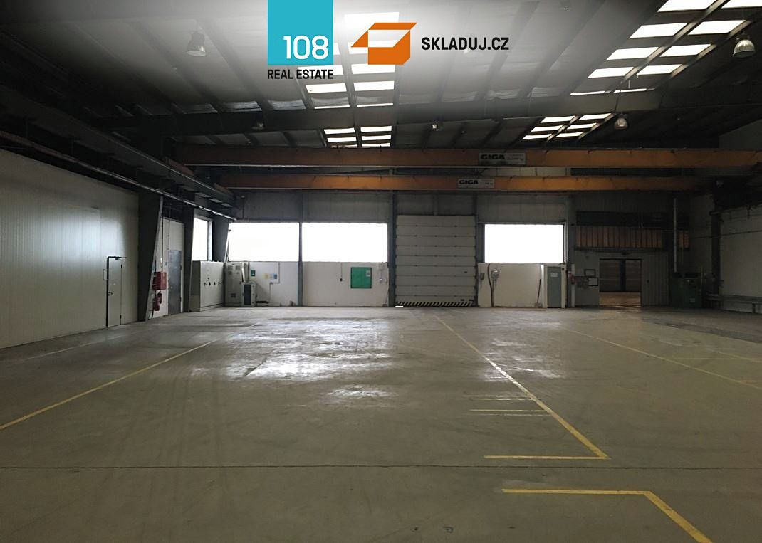 Pronájem skladového prostoru 5000 m² – fotografie 3