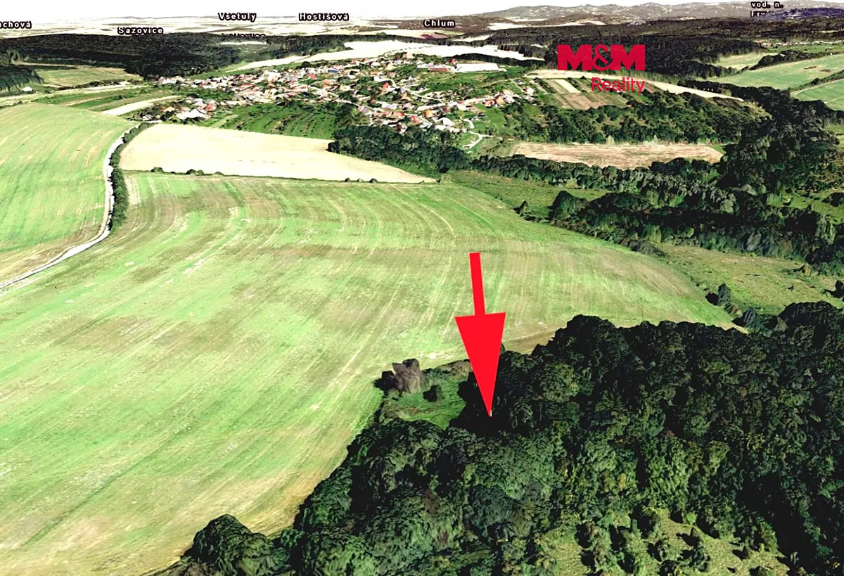 Prodej lesa 9823 m²