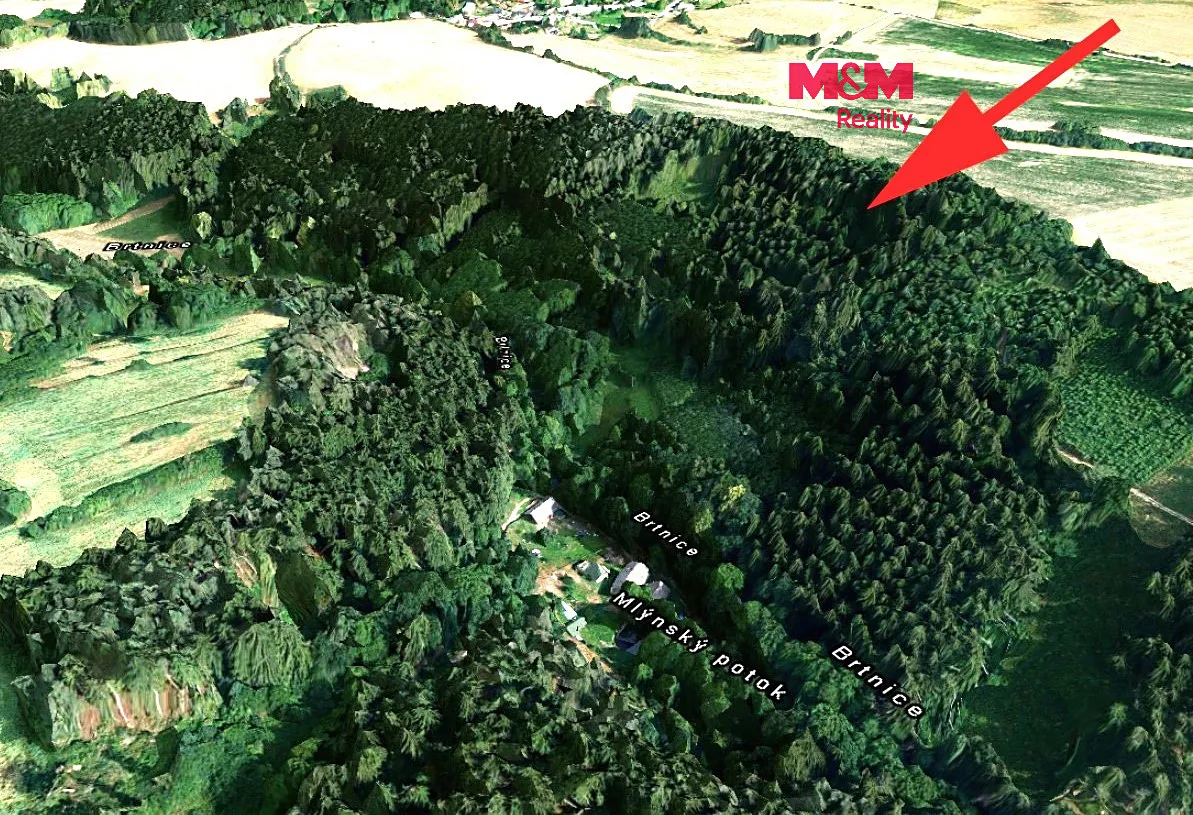 Prodej lesa 21827 m²