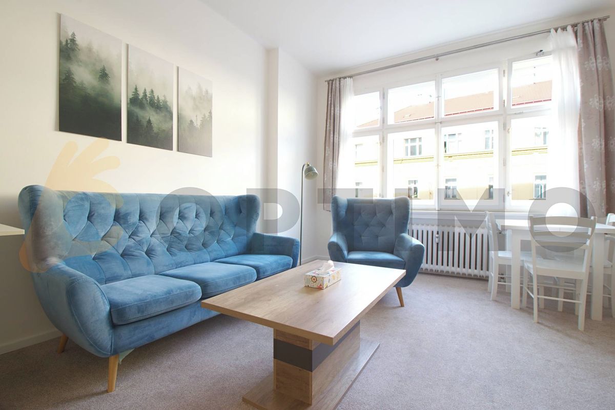 Pronájem bytu 1+1 43 m² – fotografie 4