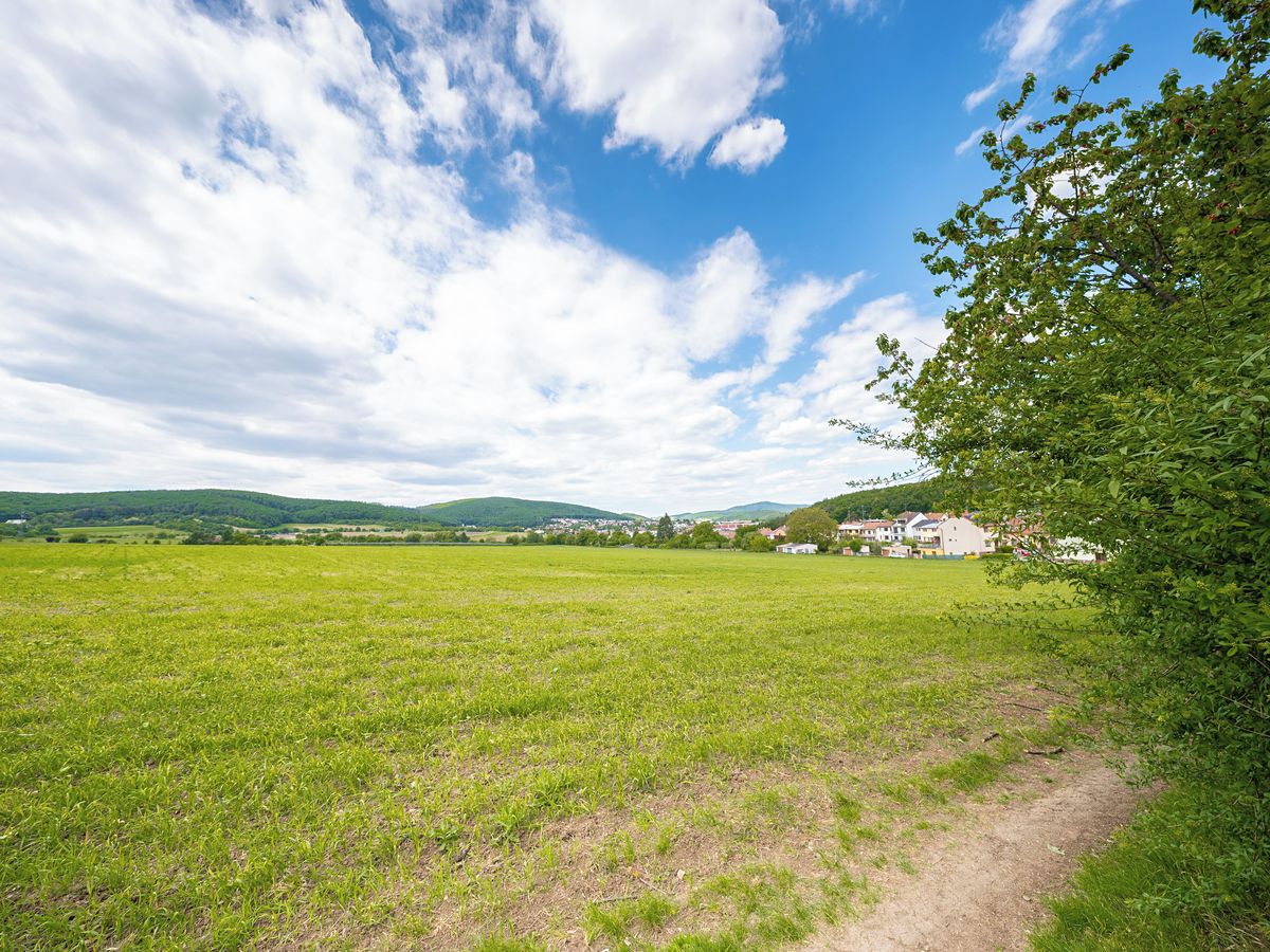 Pronájem zahrady 508 m² – fotografie 4