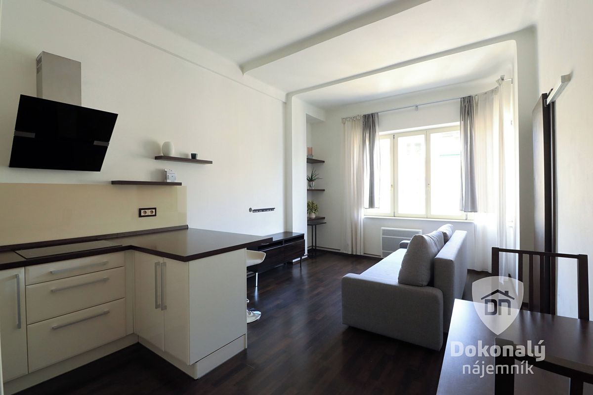 Pronájem bytu 2+kk 46 m² – fotografie 2