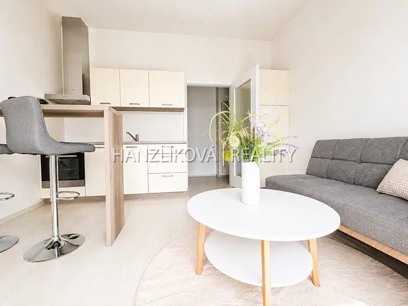 Prodej bytu 2+kk 40 m², České Budějovice – náhled fotky 2