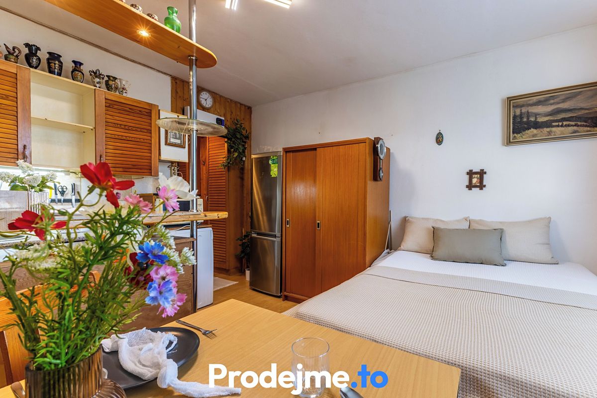 Prodej bytu 1+kk 21 m² – fotografie 3
