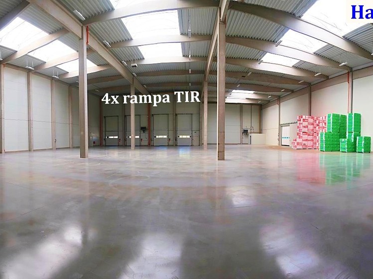Комерційне приміщення в оренду, 1 876 м² (1 з 14)