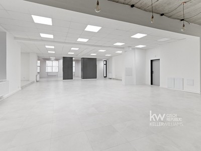 Комерційне приміщення в оренду, 1 073 м² (2 з 29)