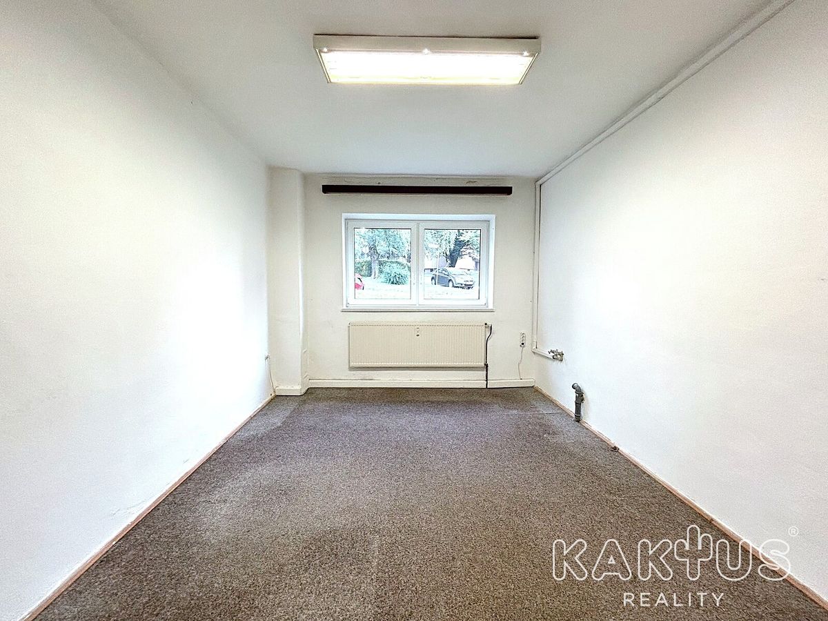 Pronájem obchodního prostoru 37 m² – fotografie 2