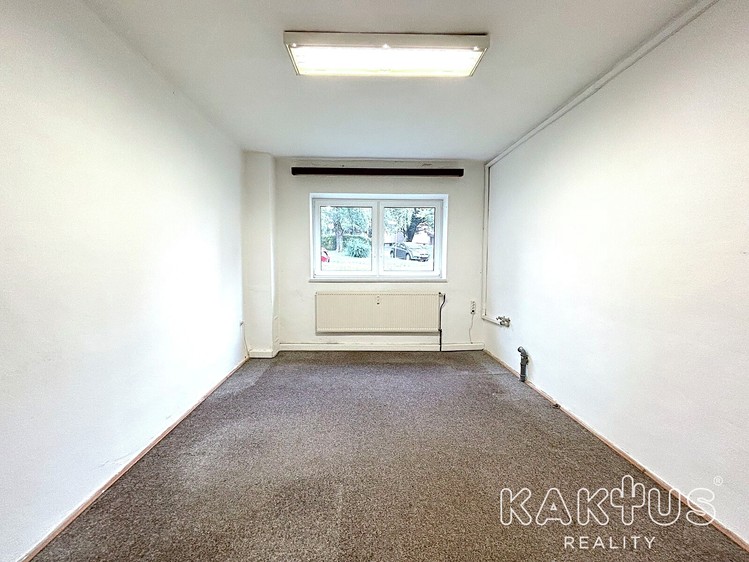 Gewerbefläche zur Miete, 37 m² (2 von 14)